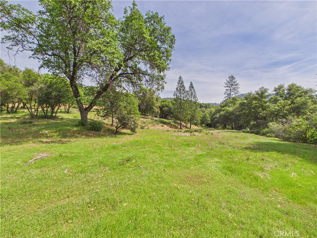 6650 Feliciana Mountain