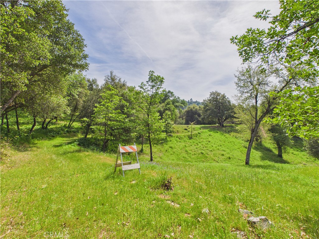 6650 Feliciana Mountain