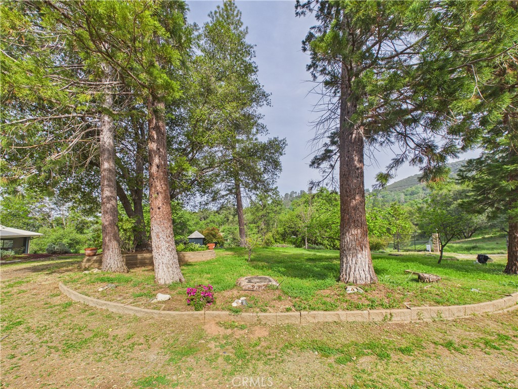6650 Feliciana Mountain