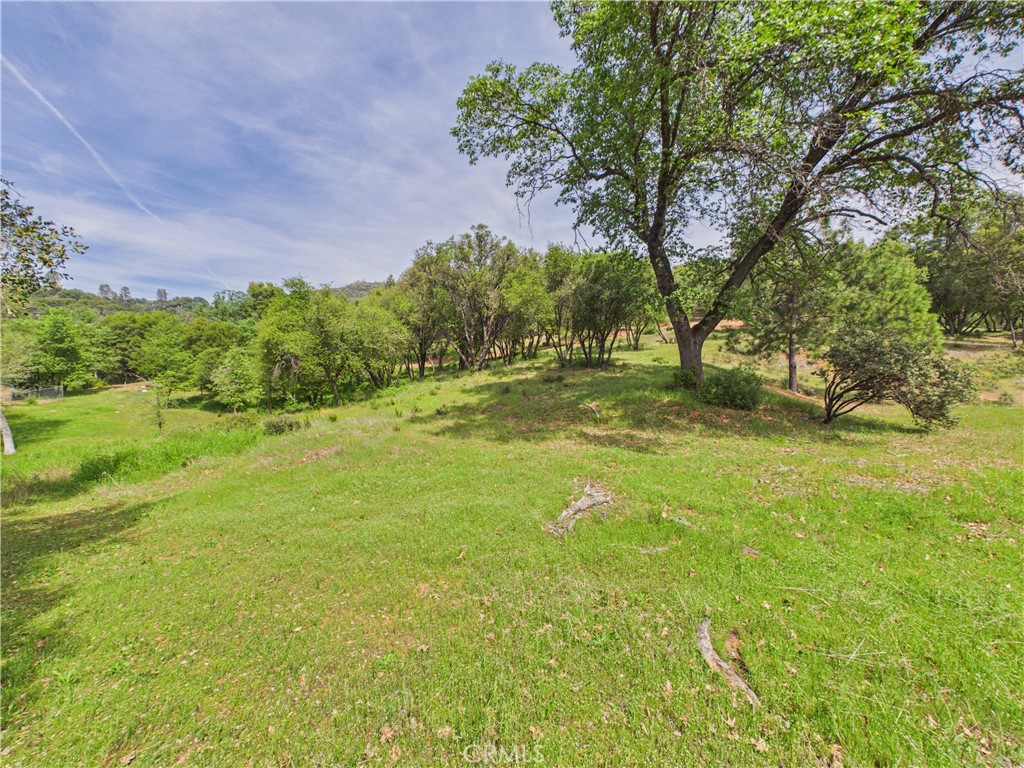 6650 Feliciana Mountain