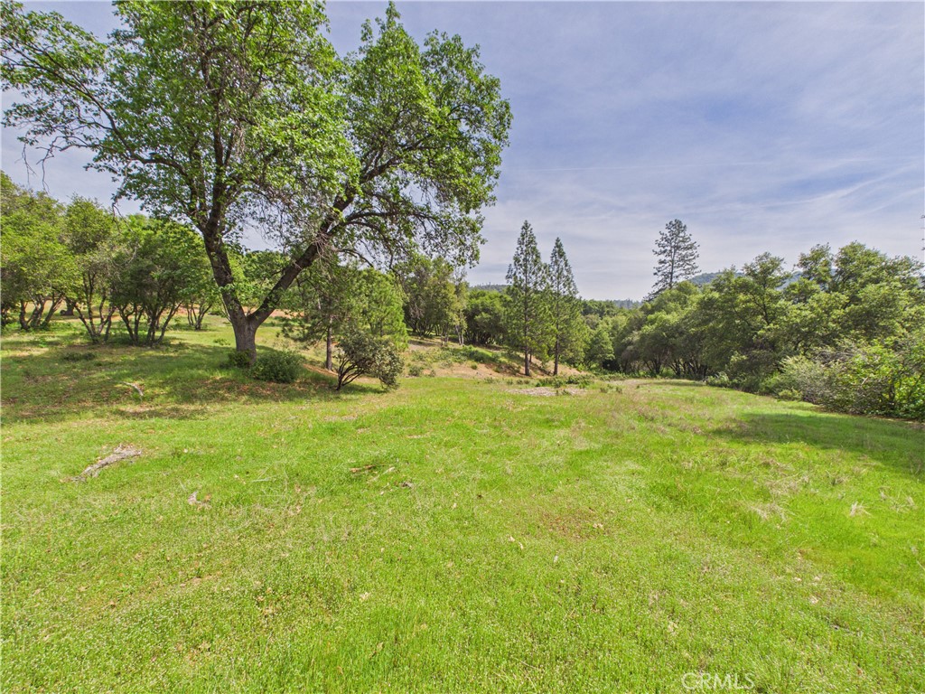 6650 Feliciana Mountain