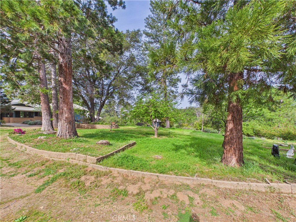 6650 Feliciana Mountain