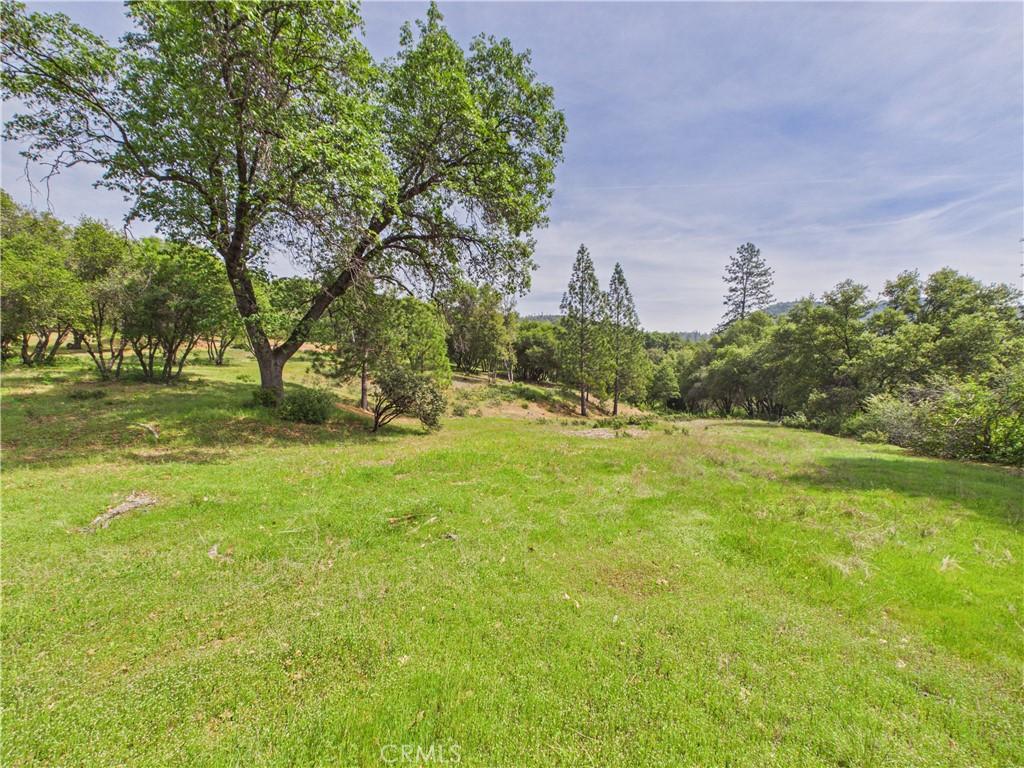 6650 Feliciana Mountain