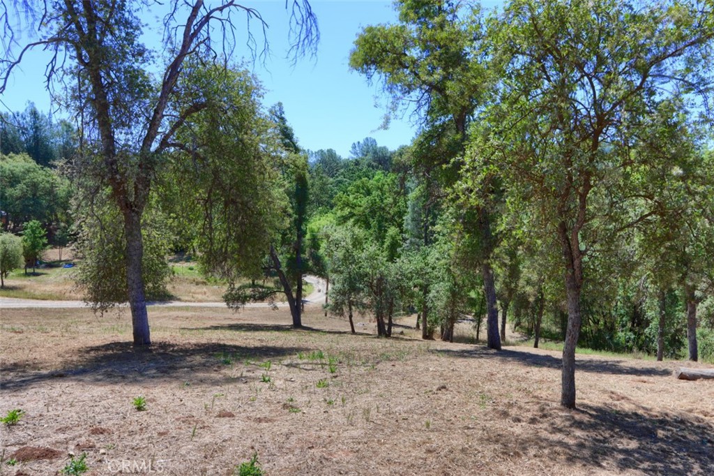 4121 Old Hwy