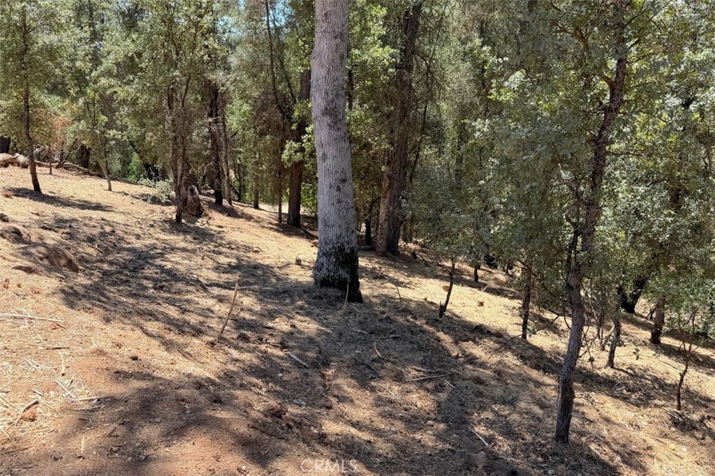 4121 Old Hwy