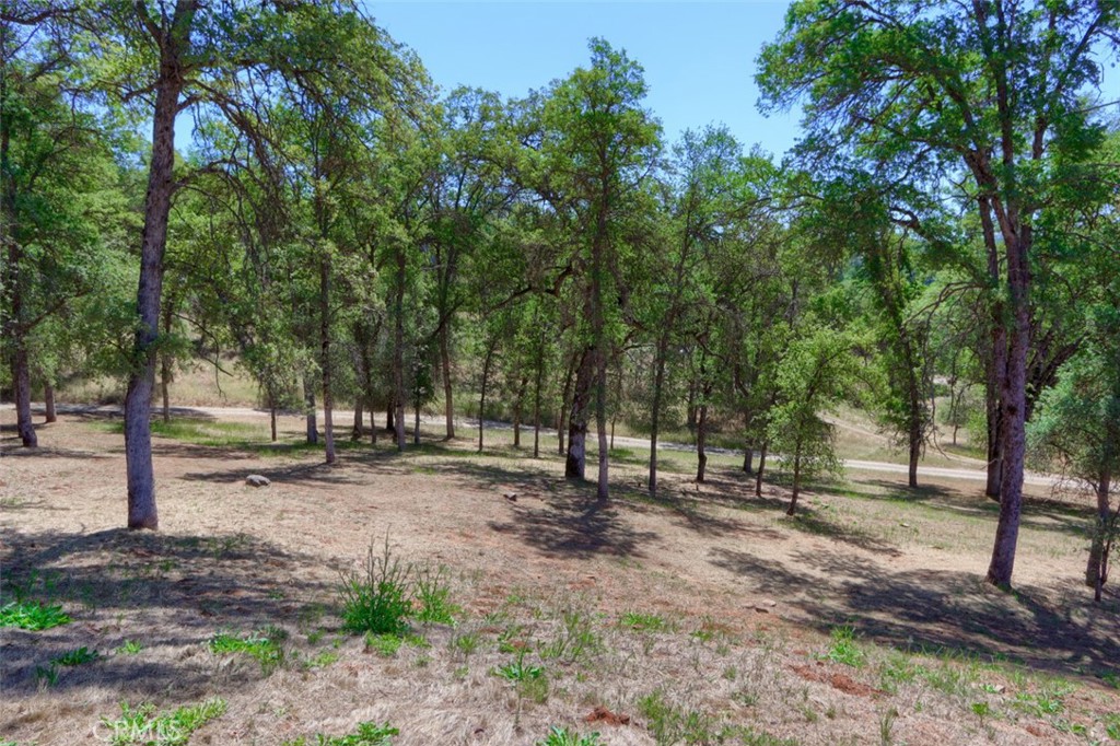 4121 Old Hwy