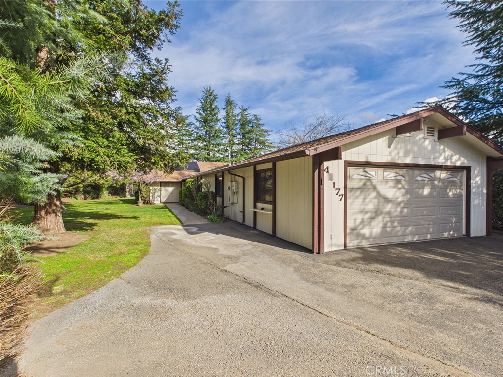42177 Lone Olive