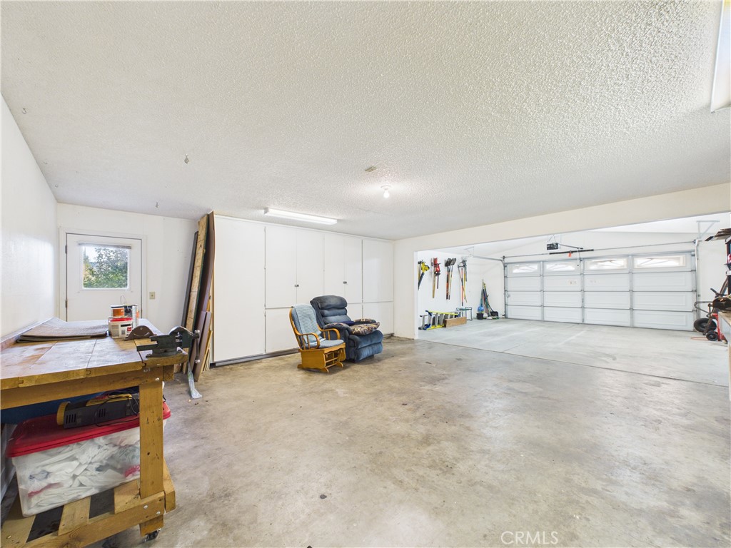 42177 Lone Olive