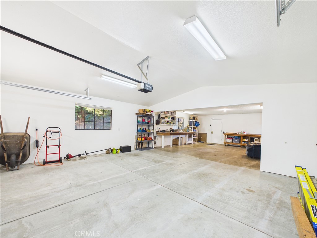42177 Lone Olive