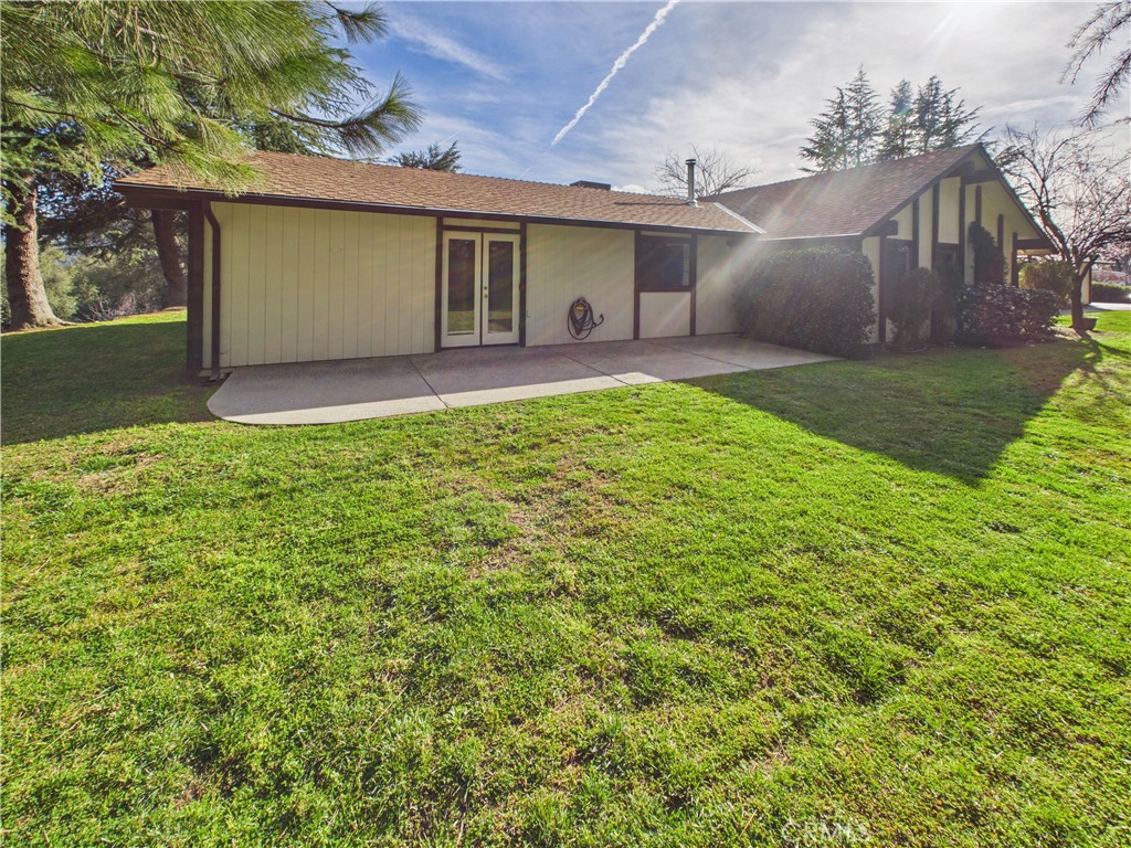 42177 Lone Olive