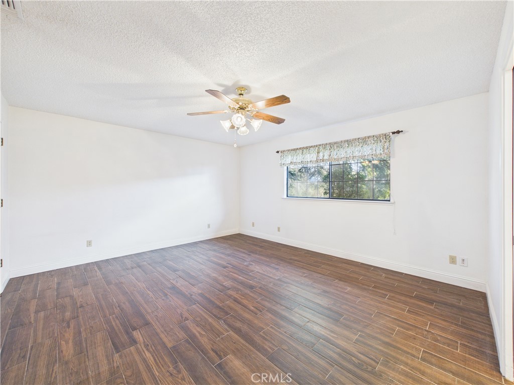 42177 Lone Olive