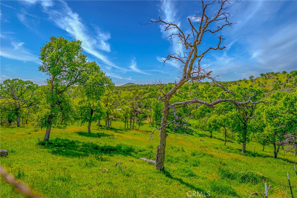 3084 Old Highway