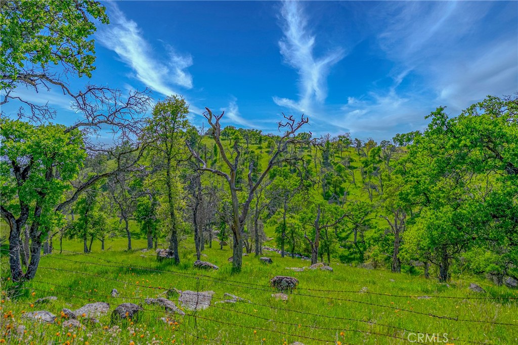 3084 Old Highway