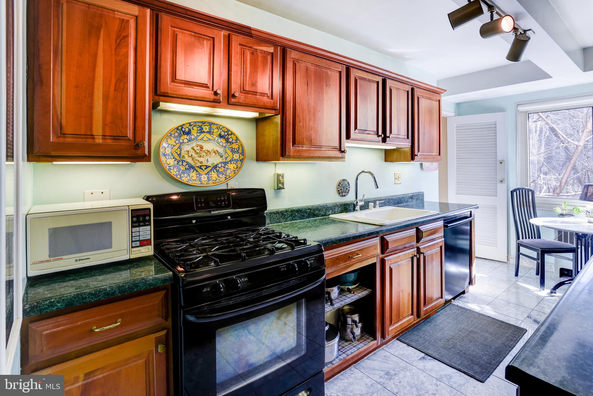 4201 Cathedral Ave NW #105e