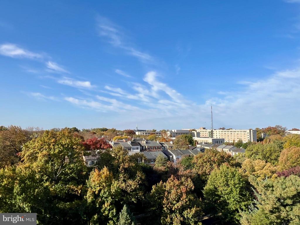 4301 MASSACHUSETTS AVENUE NW 8011