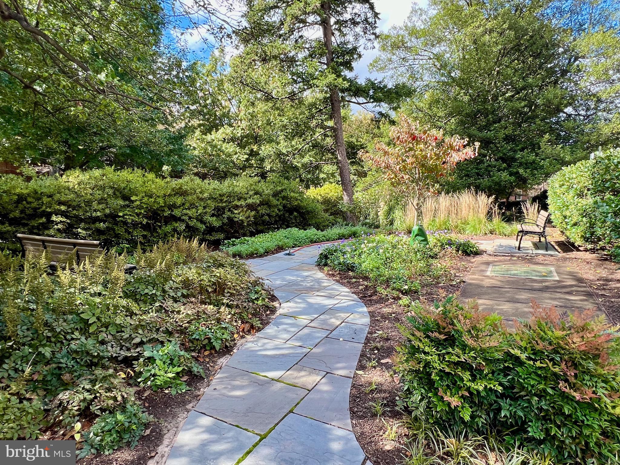 4301 MASSACHUSETTS AVENUE NW 8011