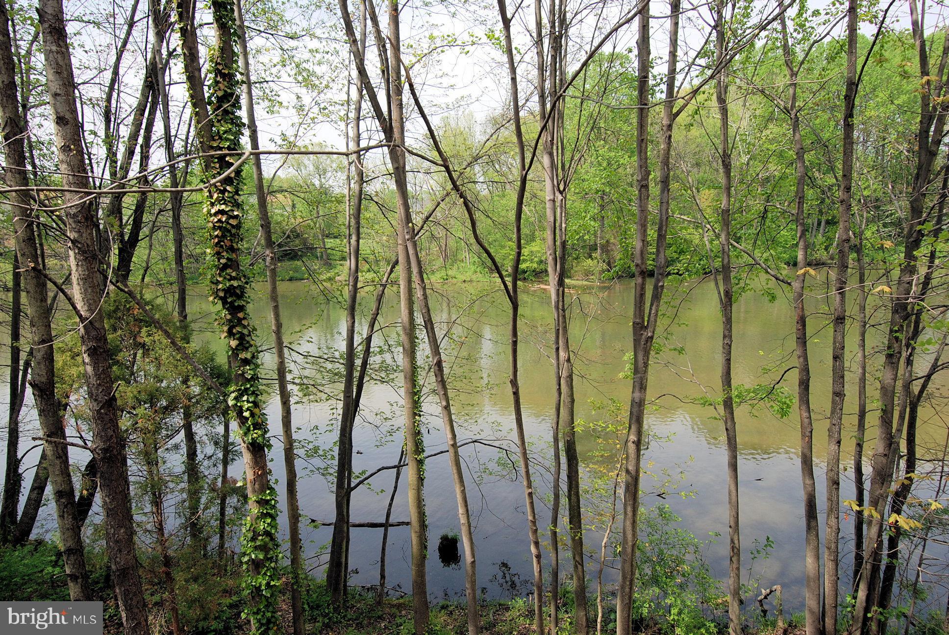 20325 BEACONFIELD TERRACE Unit: 101