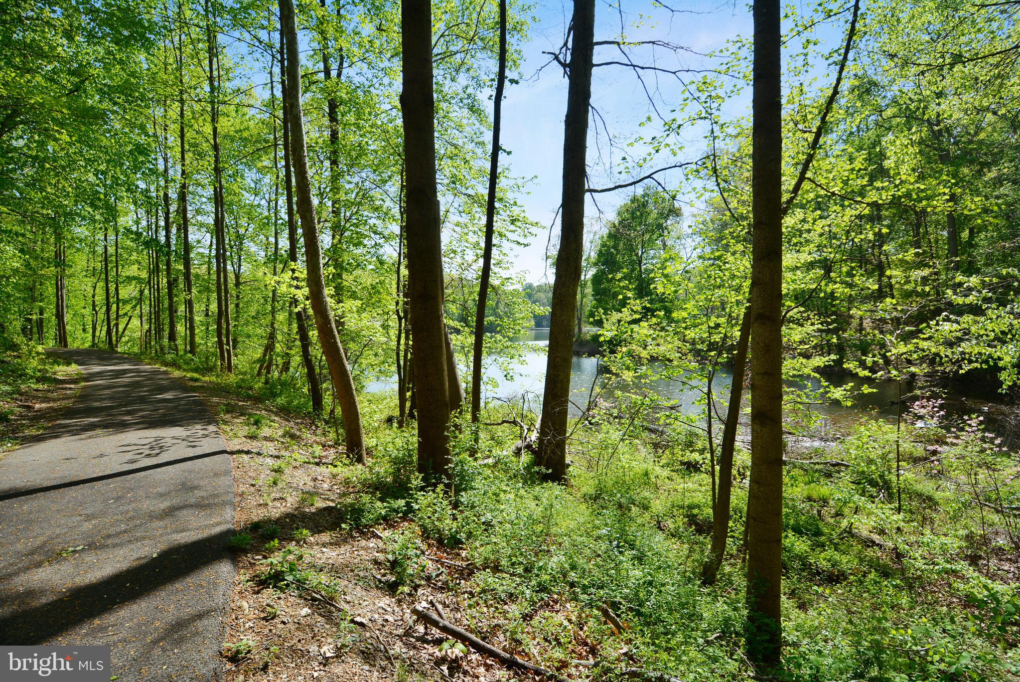 20325 BEACONFIELD TERRACE Unit: 101