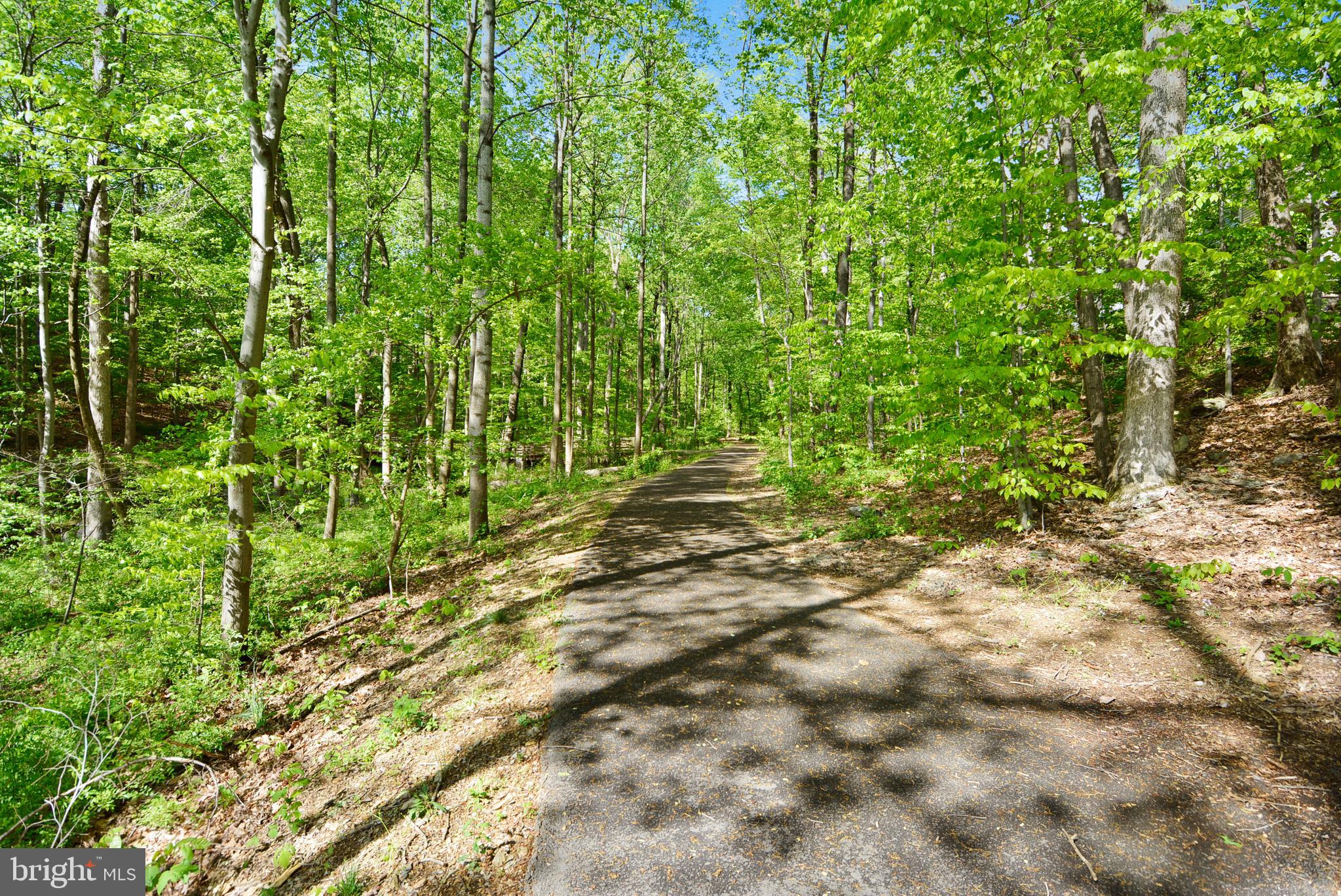 20325 BEACONFIELD TERRACE Unit: 101