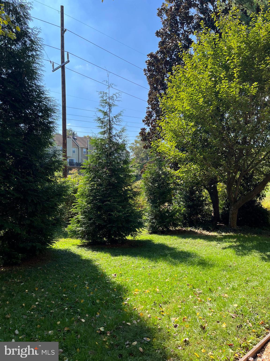 718 Beacon Hill Ter