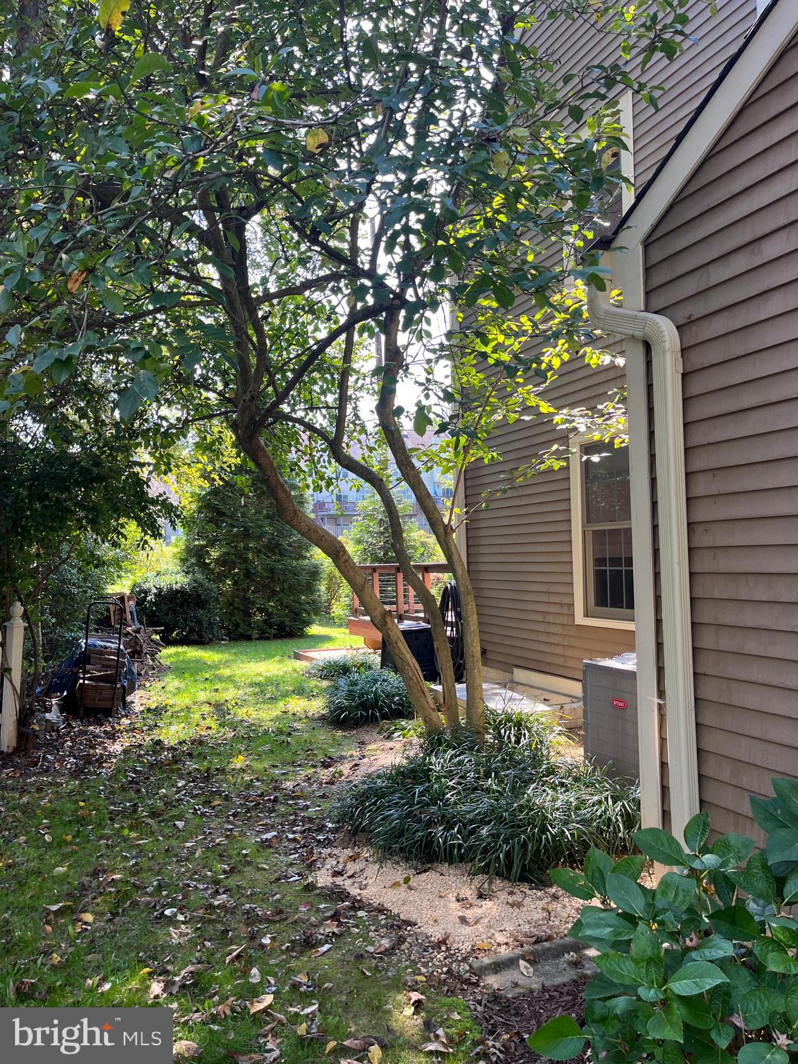 718 Beacon Hill Ter