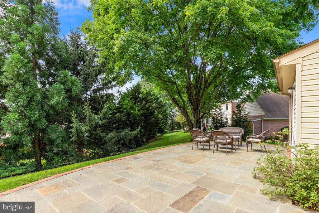 13 Buckspark Ct