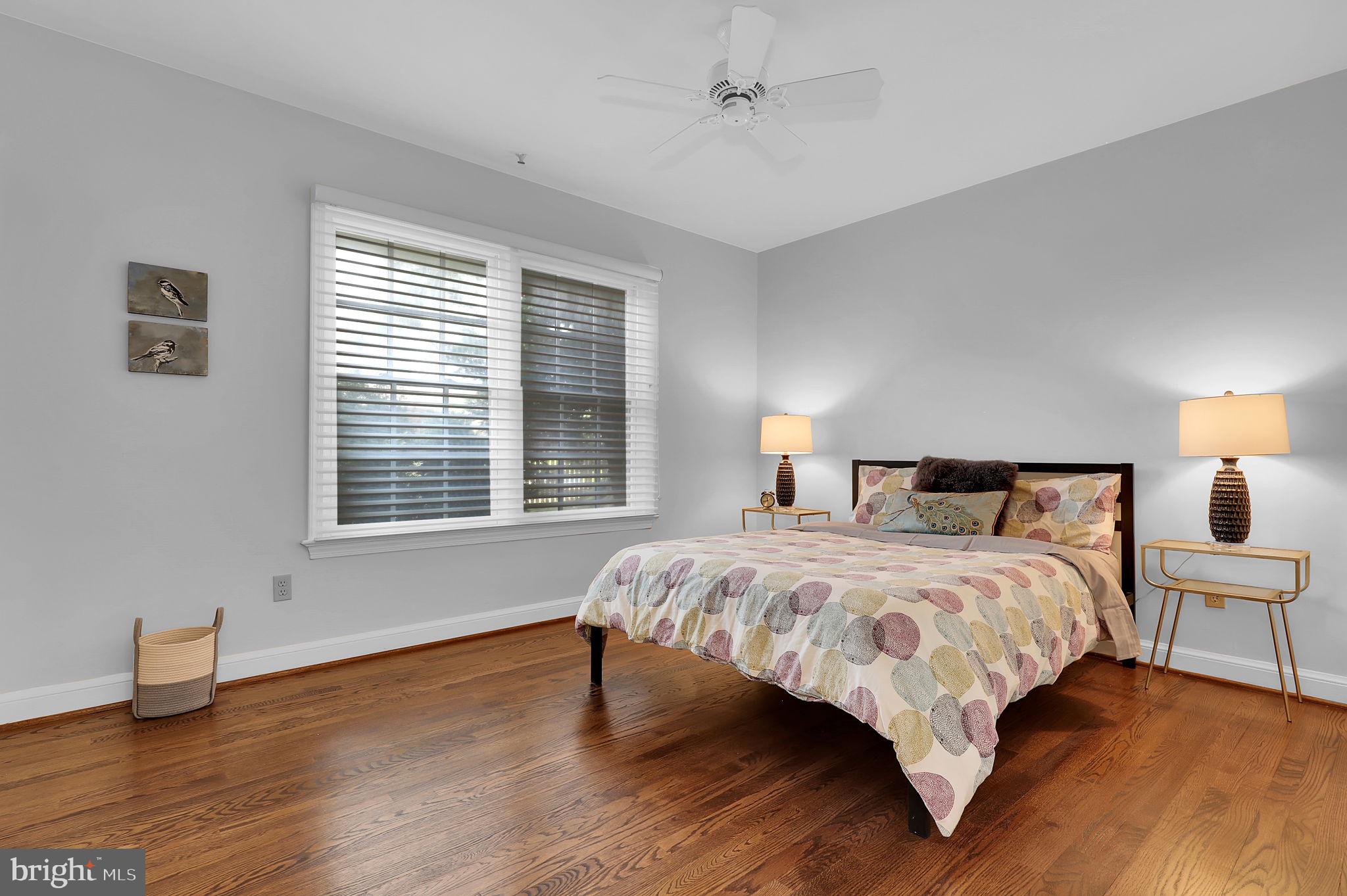 11208 Stephalee Ln