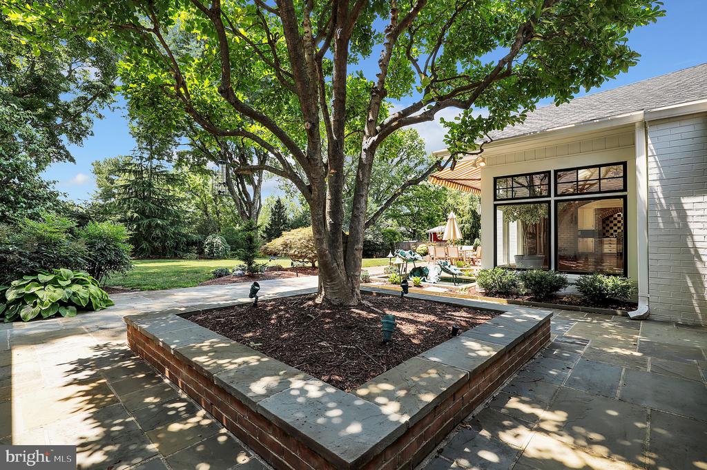 11208 Stephalee Ln