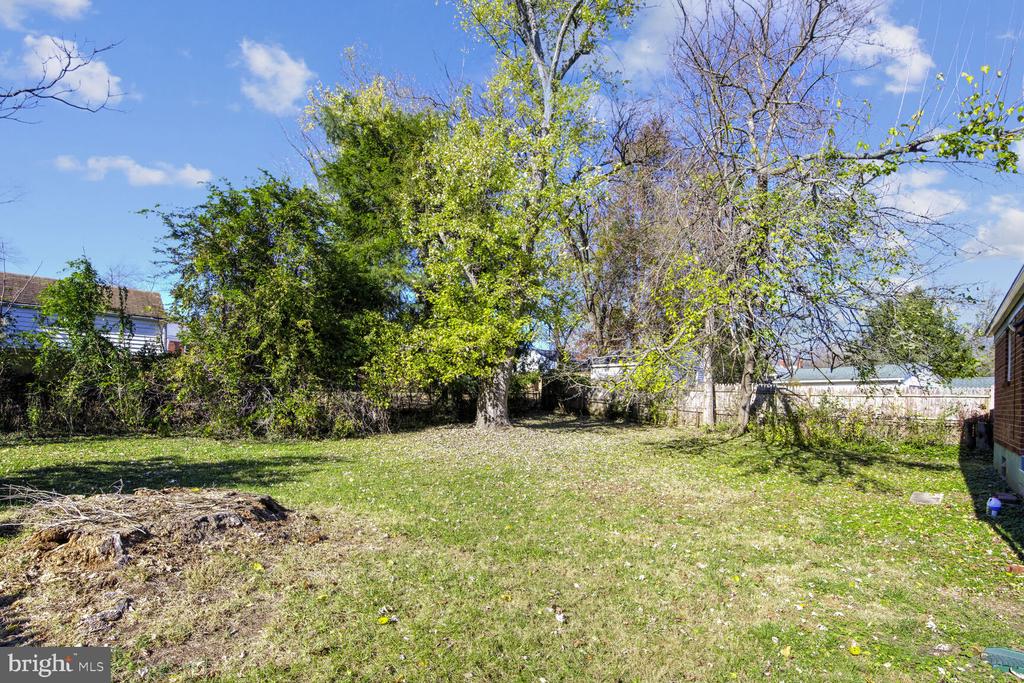 11802 Timber Ln