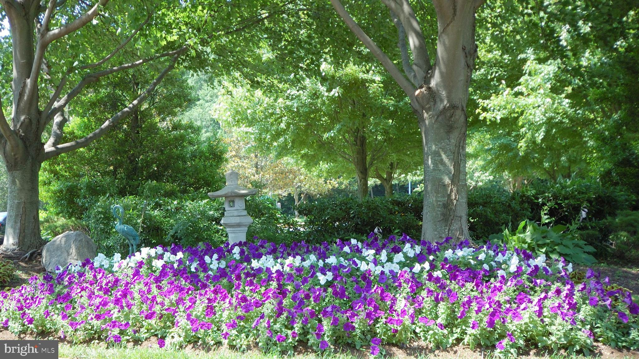 10201 GROSVENOR PLACE 620