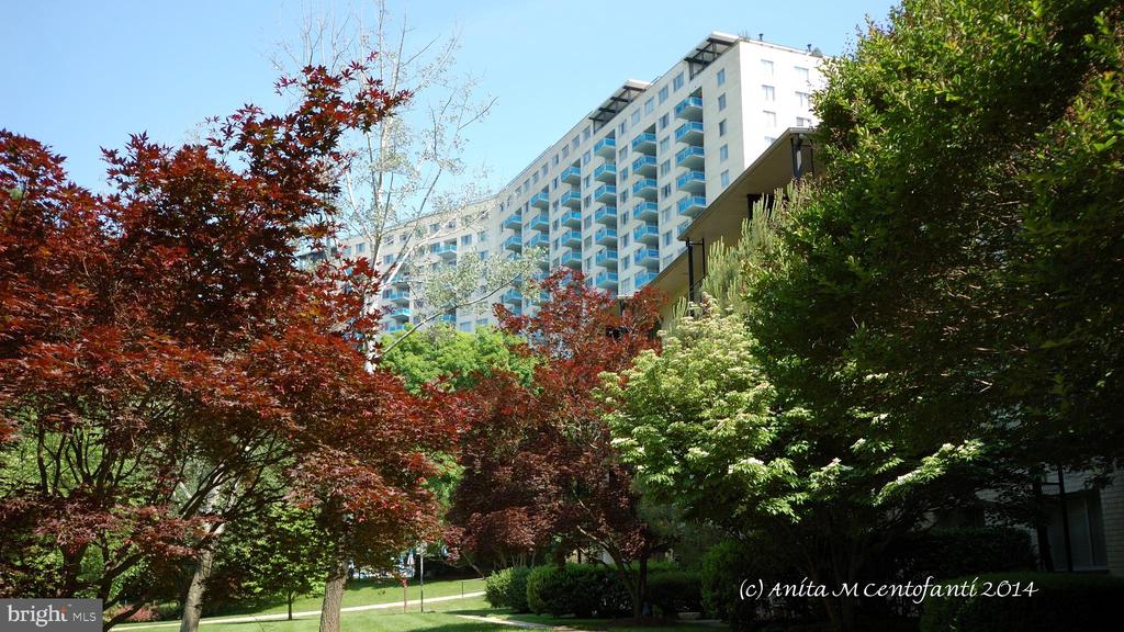 10201 GROSVENOR PLACE 620