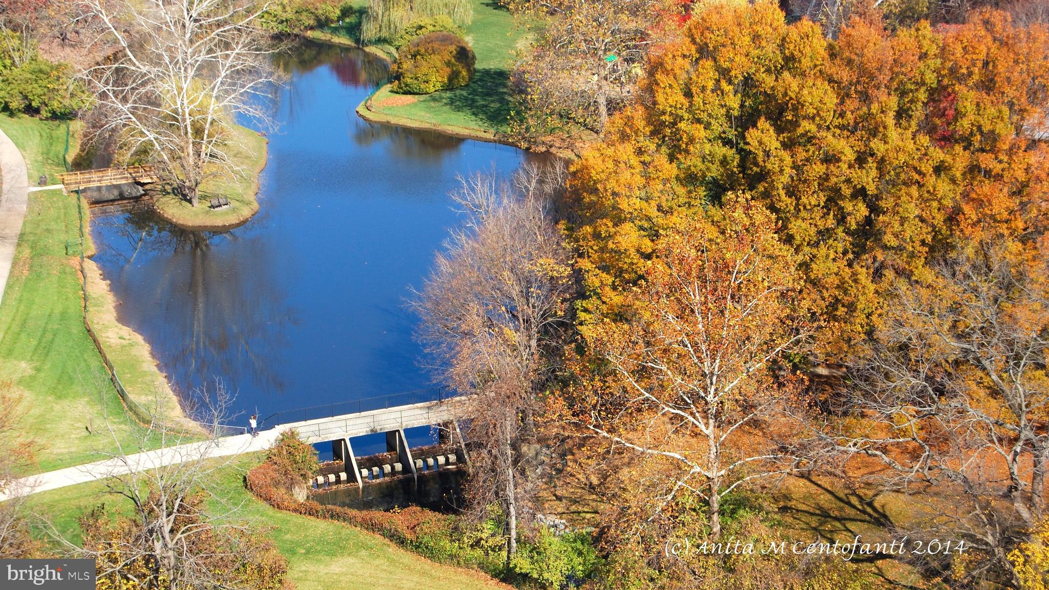 10201 GROSVENOR PLACE 620