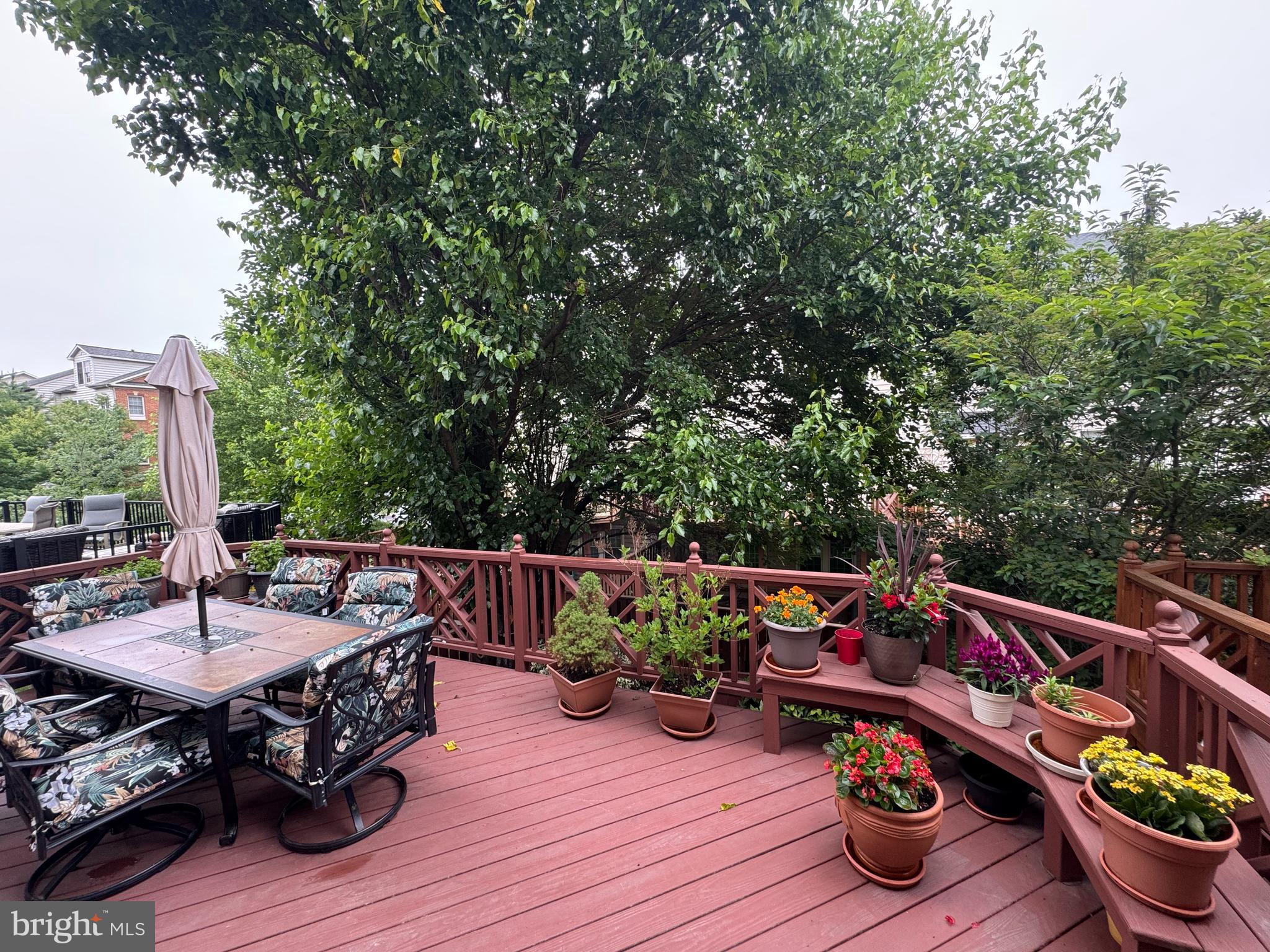 10407 FLOWERFIELD WAY