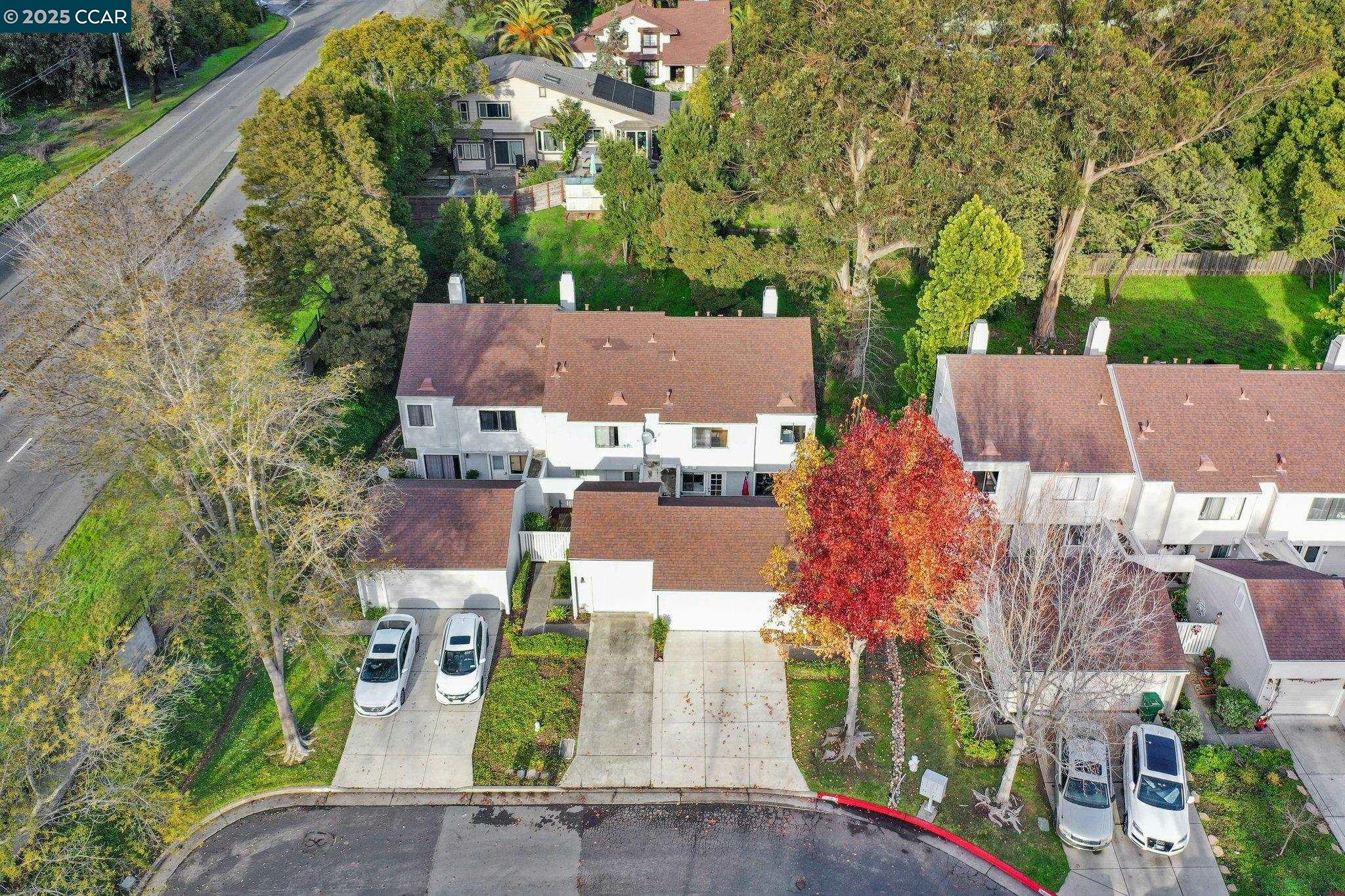2405 Branchwood Ct