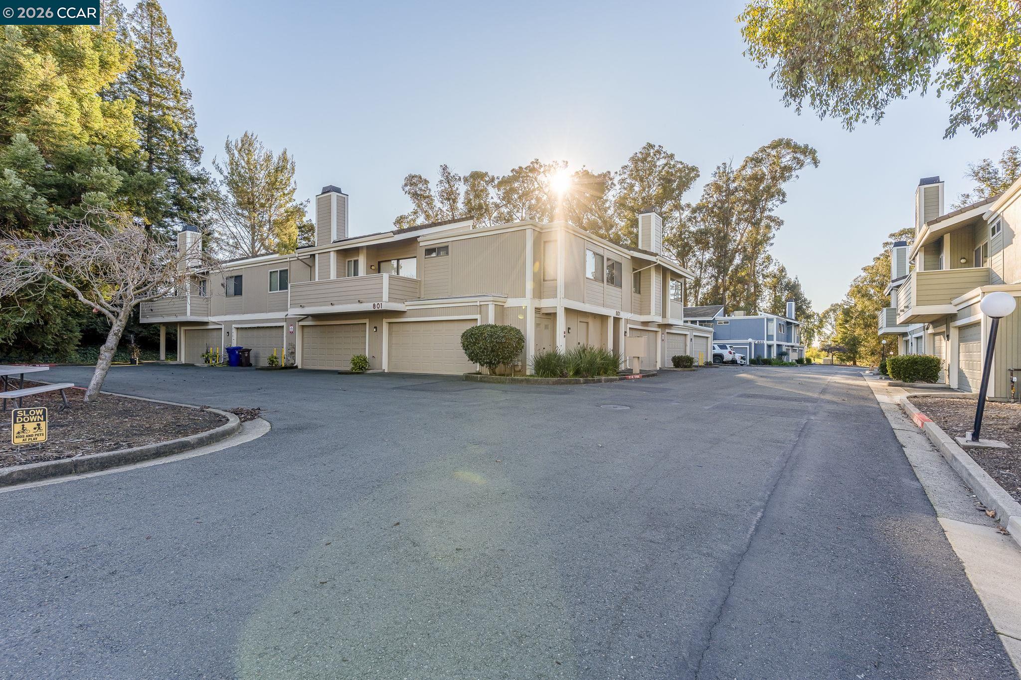 801 Orion # 7