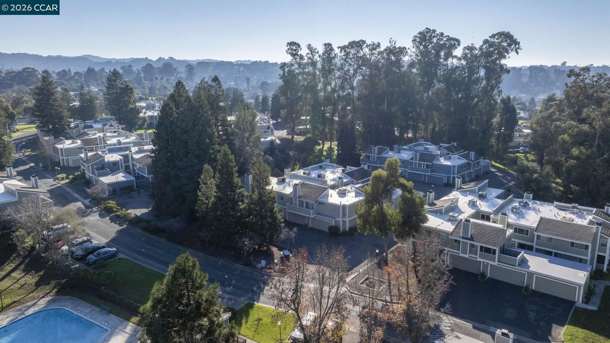 801 Orion # 7