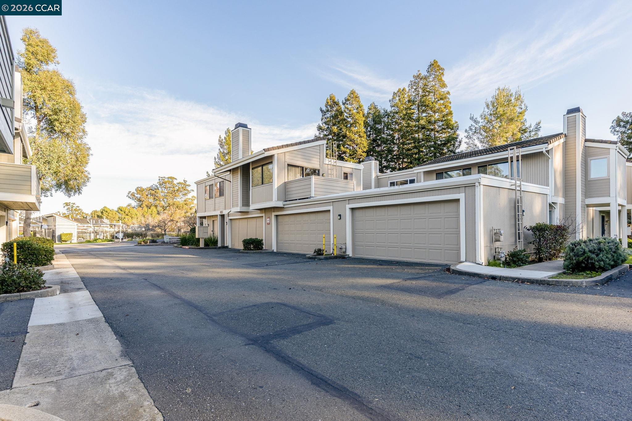 801 Orion # 7