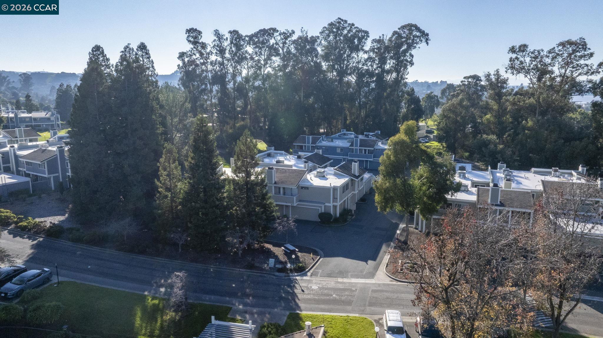 801 Orion # 7