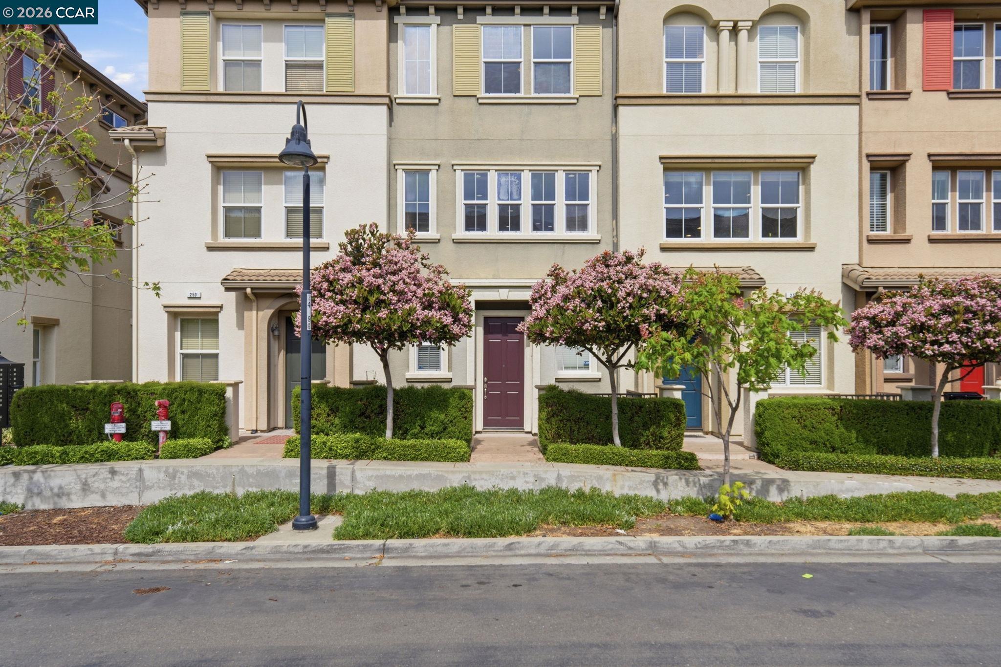 252 Sullivan Way