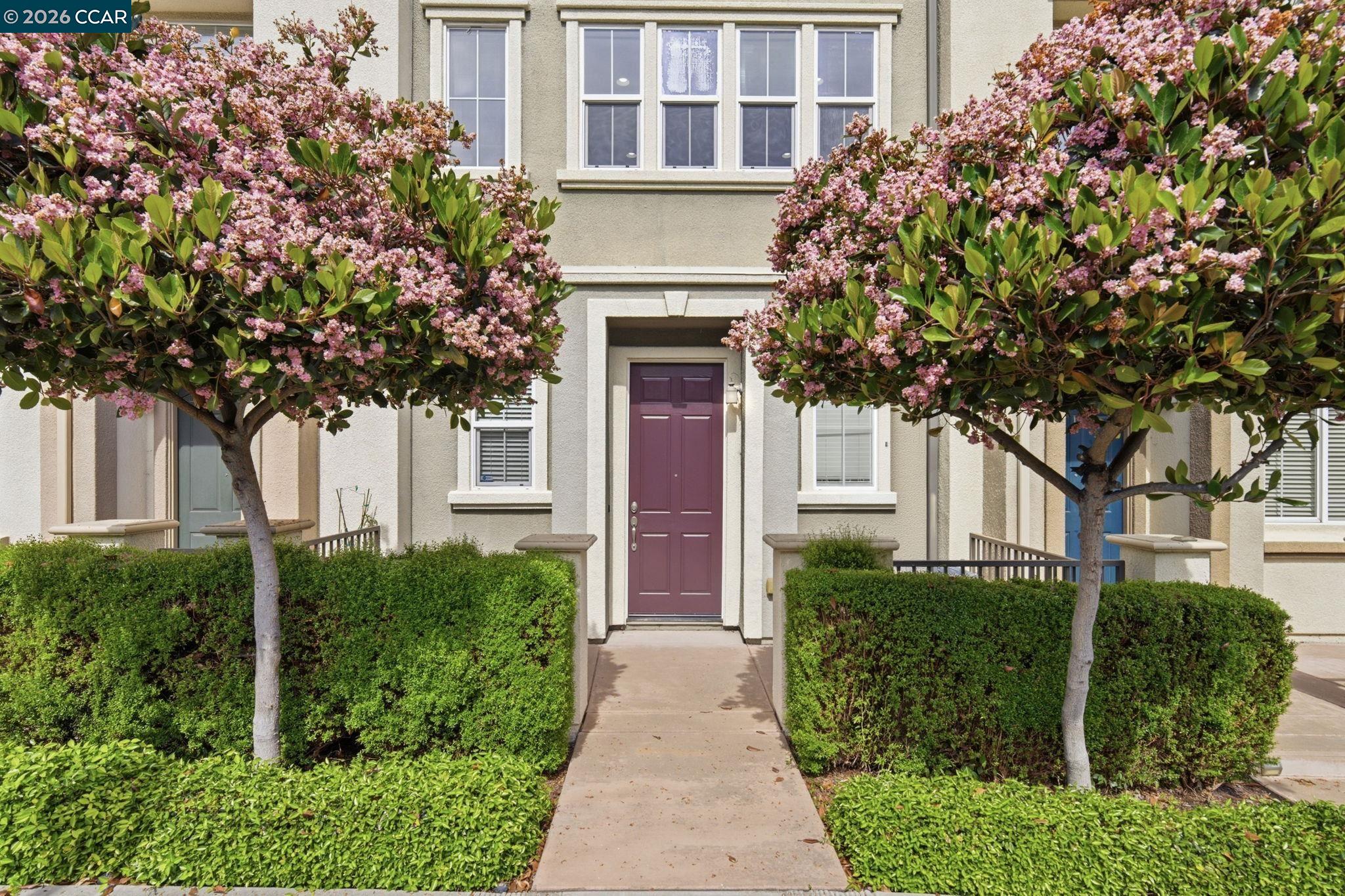 252 Sullivan Way