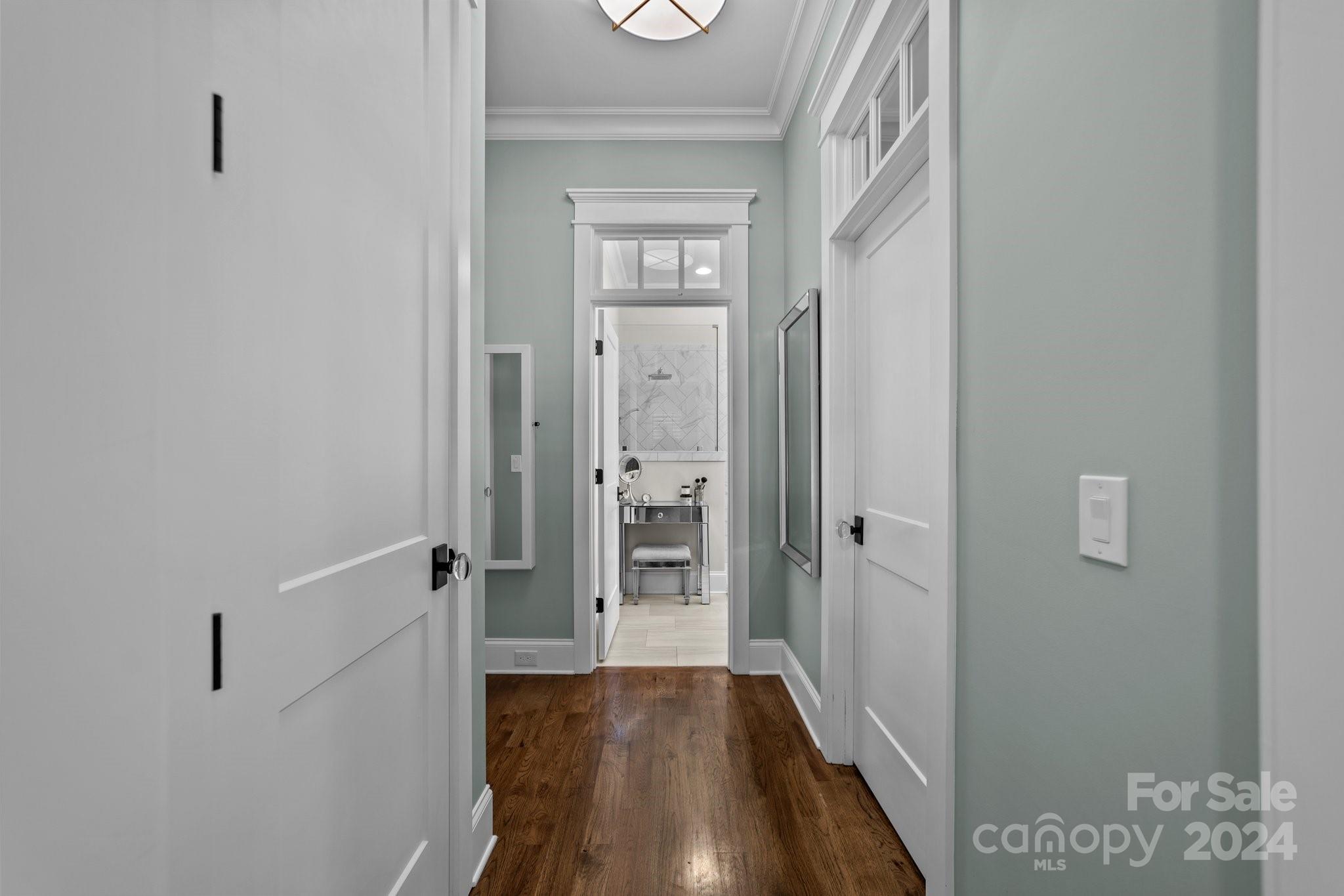 351 Delburg Street