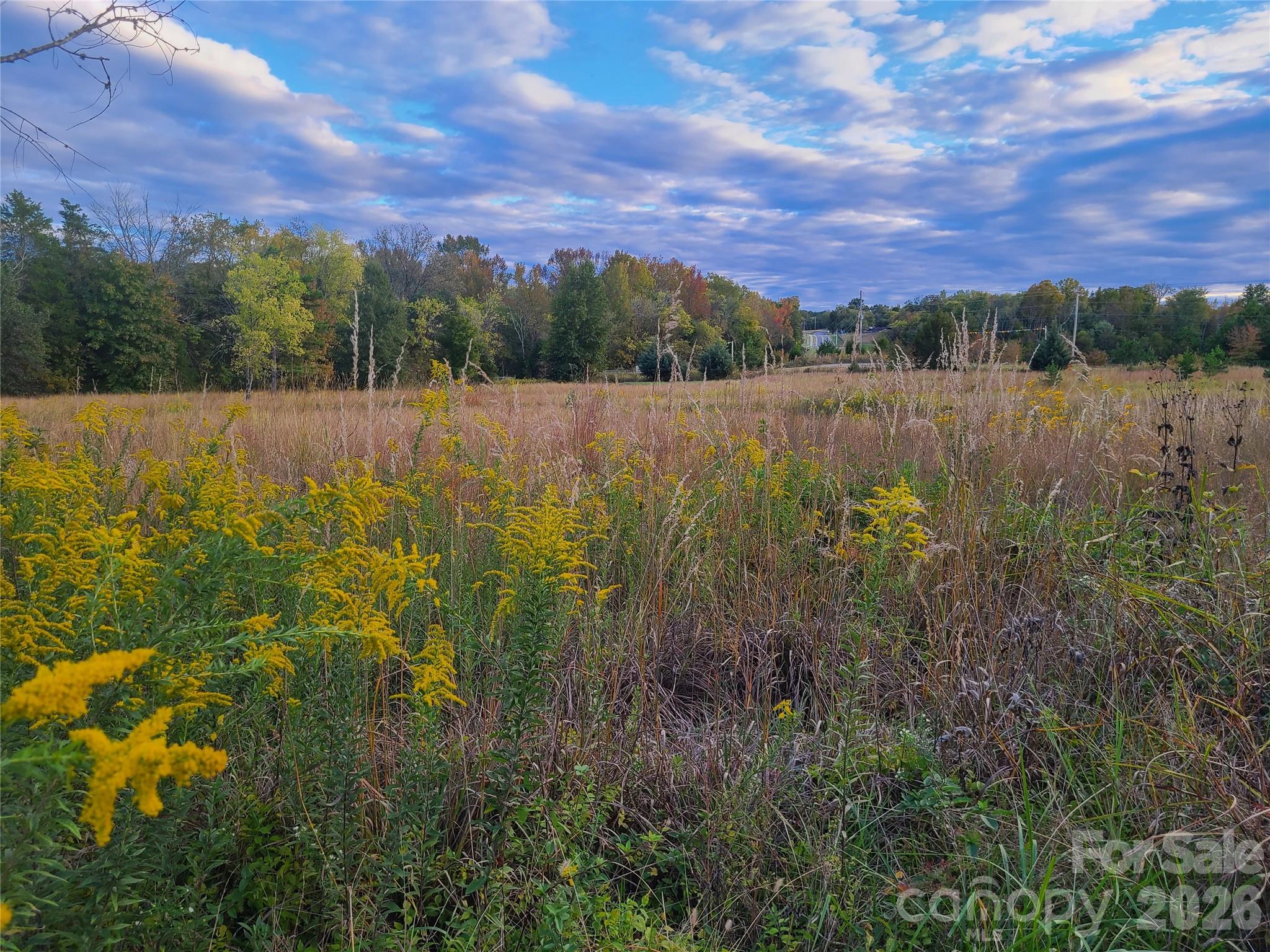 8777/8811 Hickory Ridge Road