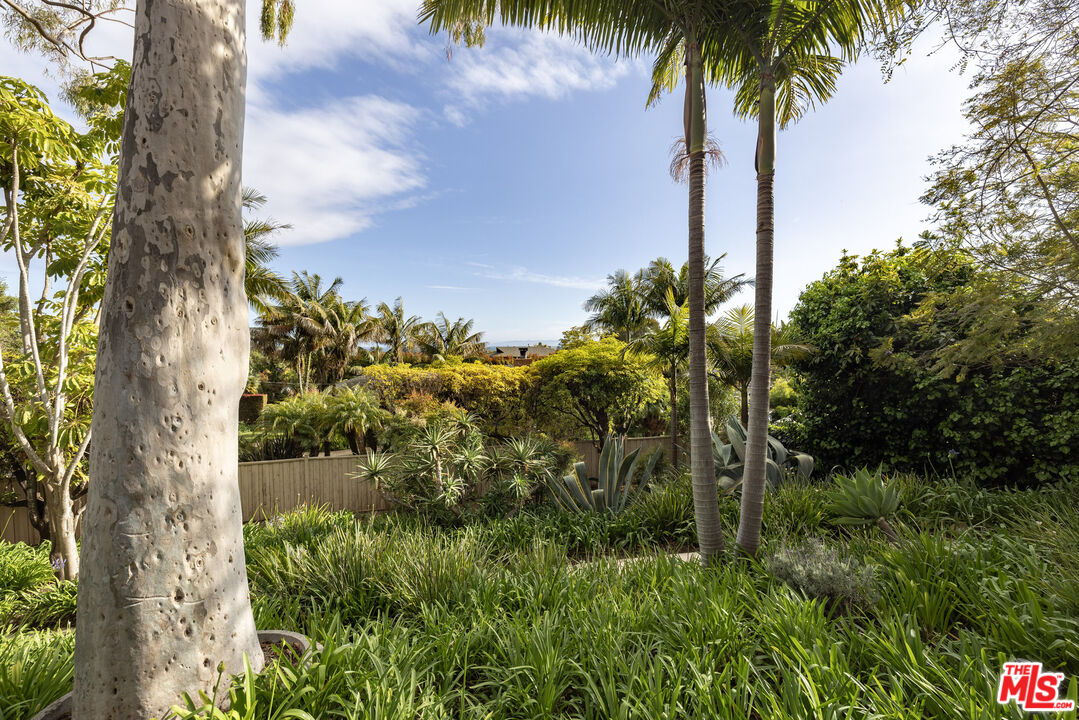 246 Toro Canyon Rd