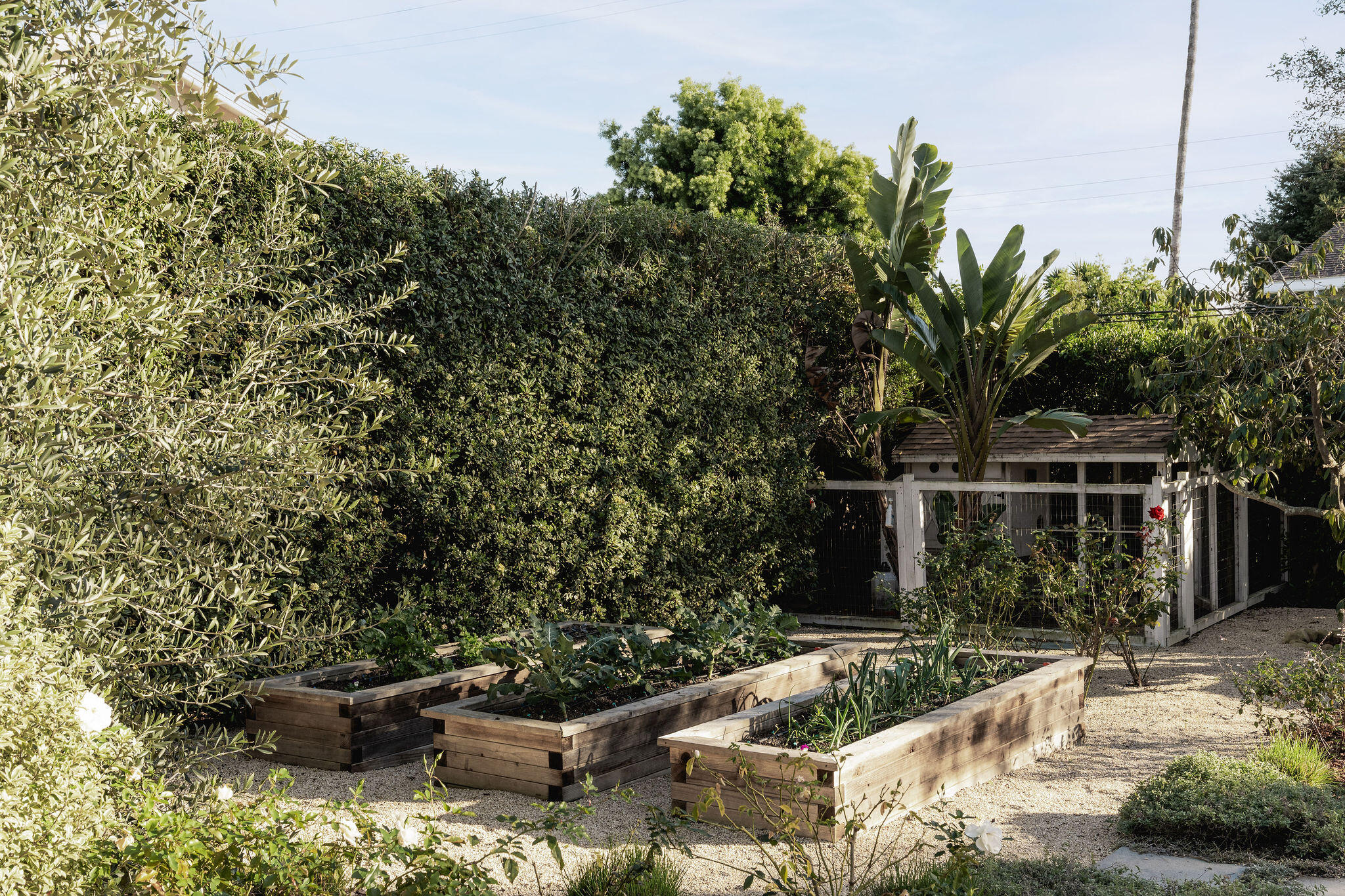 1437 San Miguel Avenue