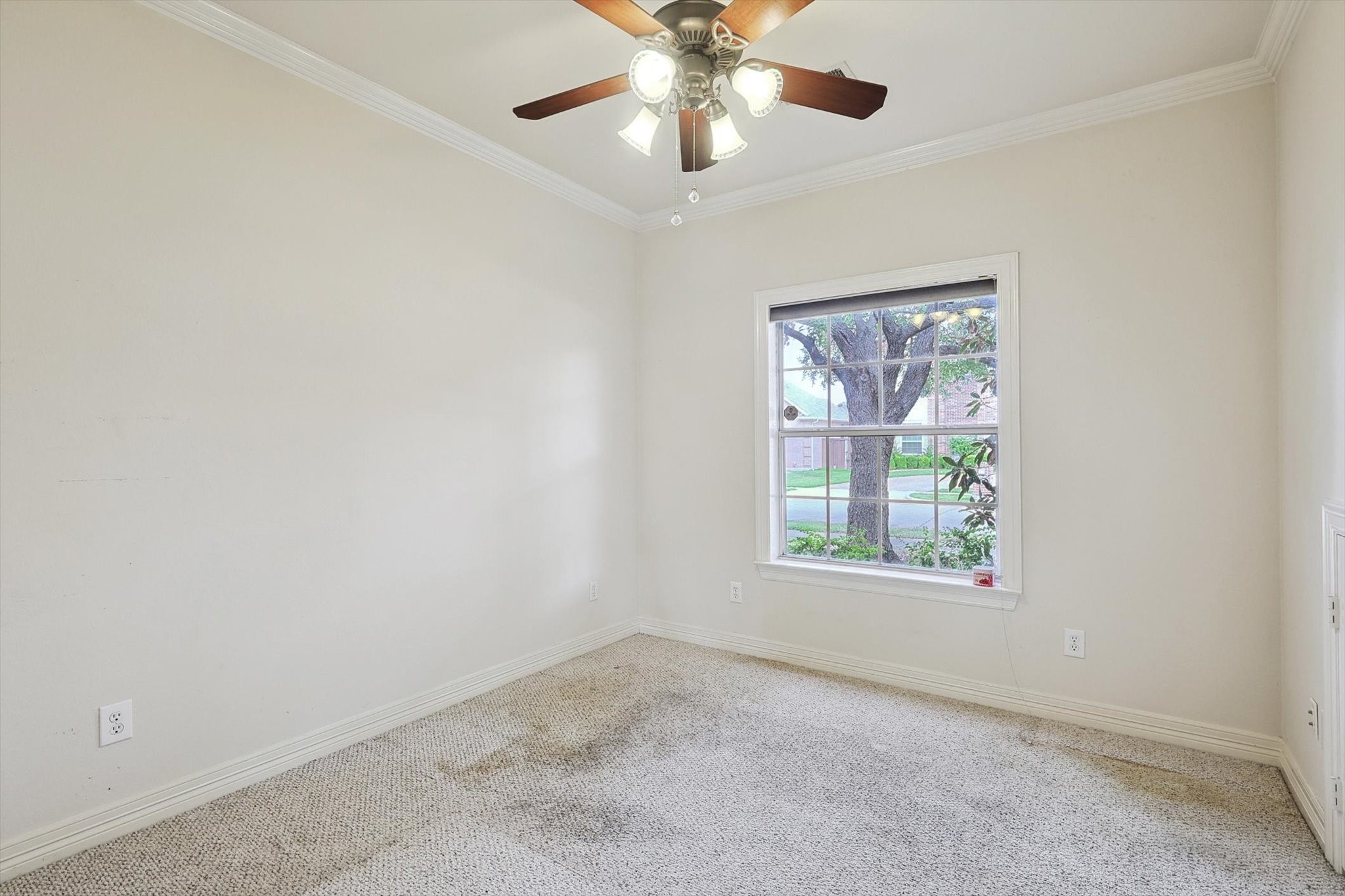 616 Killarney