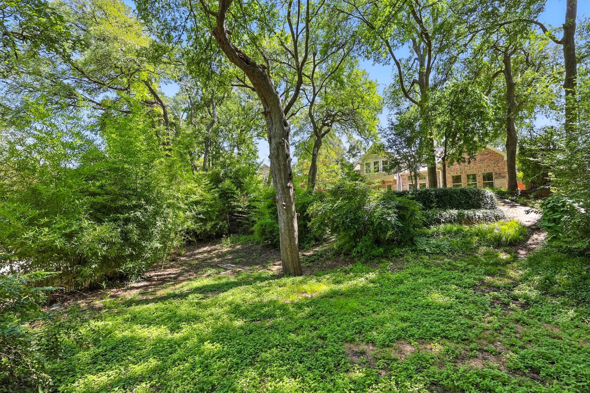 1032 Sunswept Terrace
