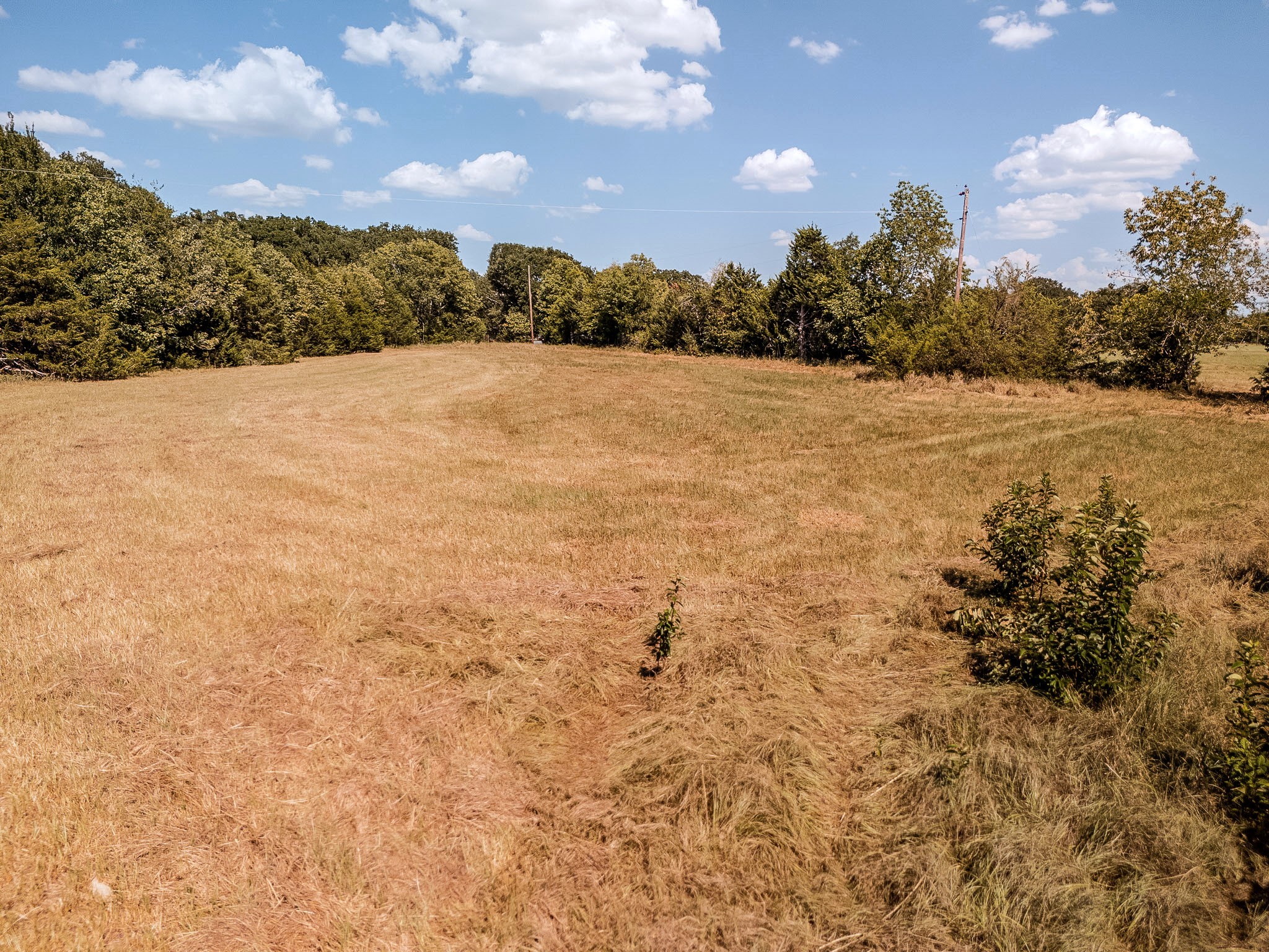 TBD County Rd 3502
