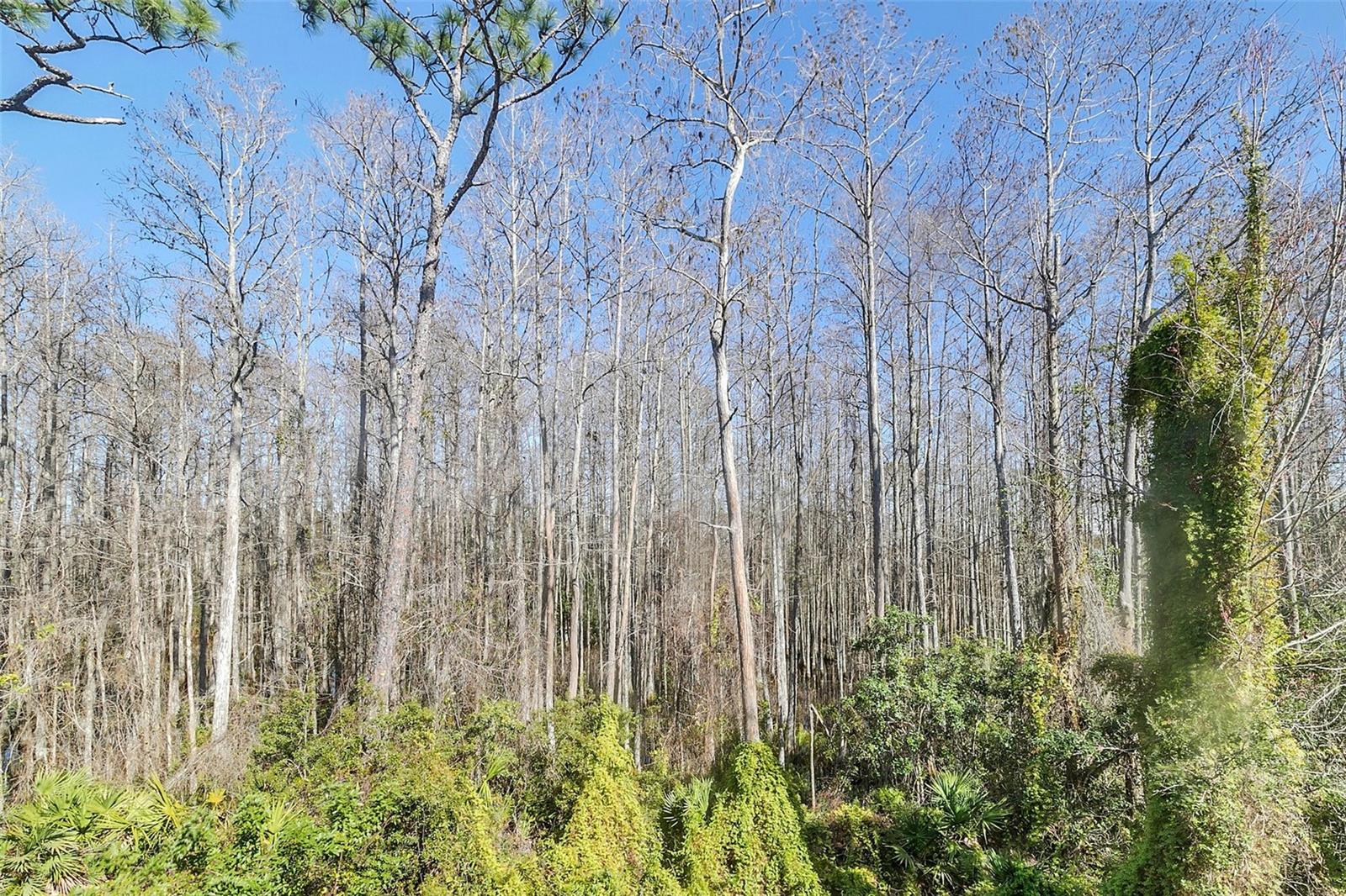 2207 CYPRESS VILLAS DR