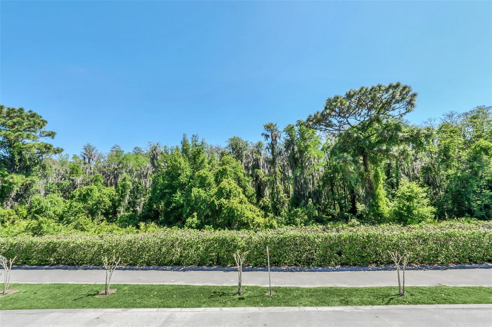 10802 ECLIPSE LILY WAY