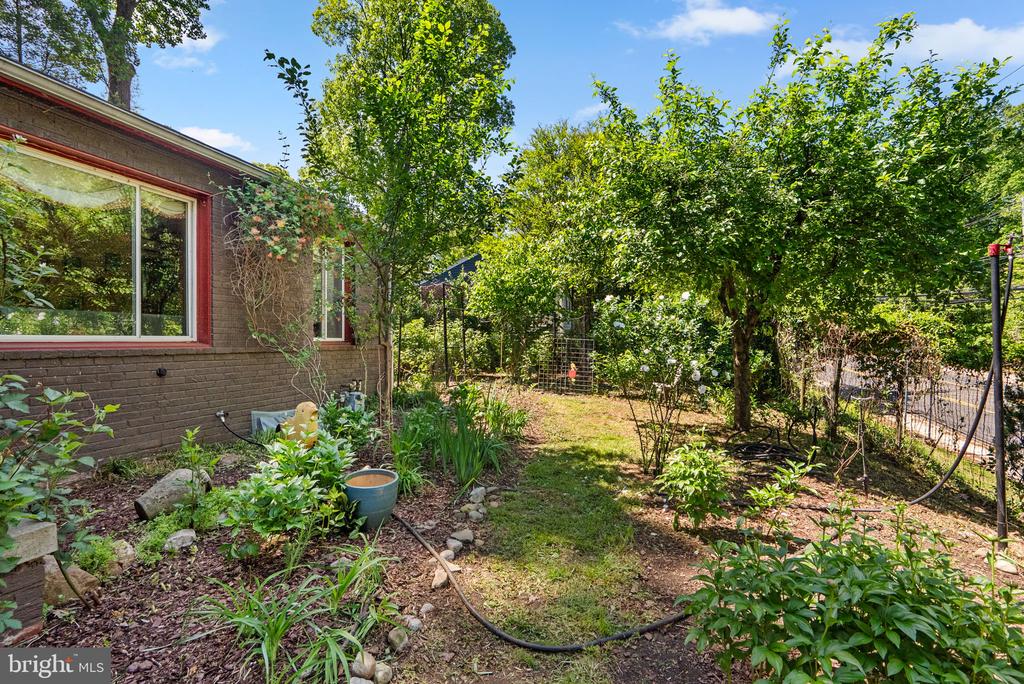 8313 PINEY BRANCH ROAD